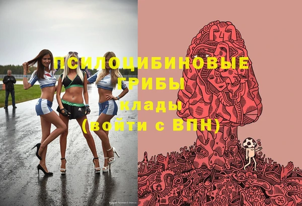 PSILOCYBIN Алексеевка
