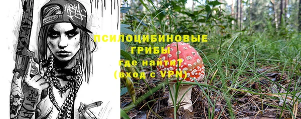 PSILOCYBIN Алексеевка