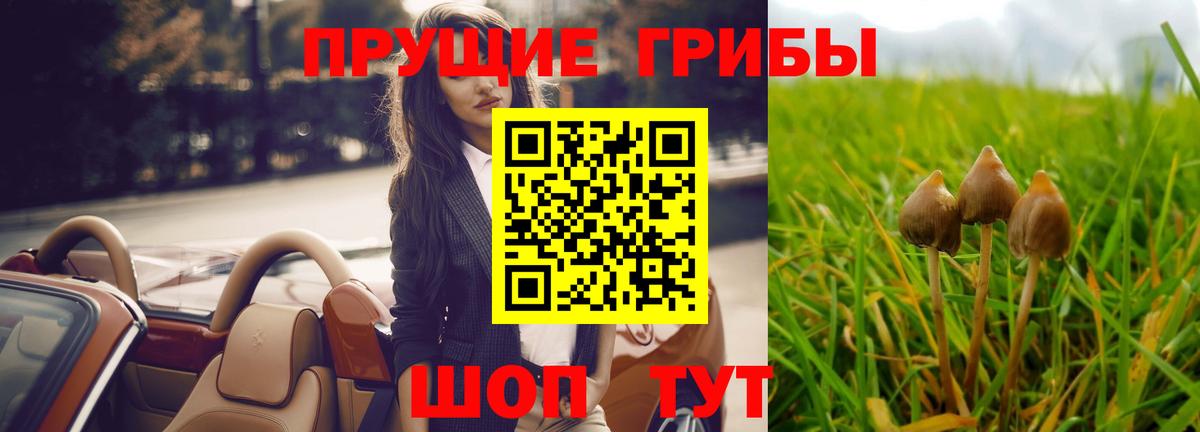 Галлюциногенные грибы GOLDEN TEACHER Арсеньев
